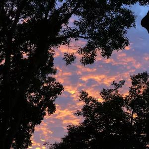 不知道取什么名字