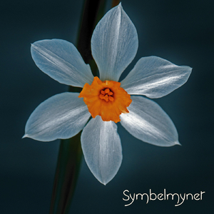 Karma Sequence (feat. Yreri)