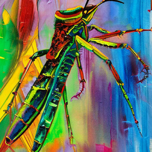 Grasshopper