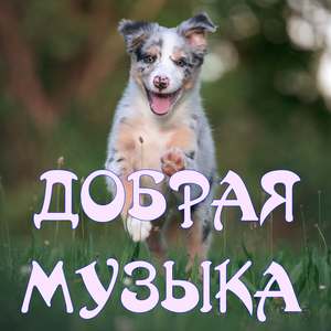 Земляничная страна