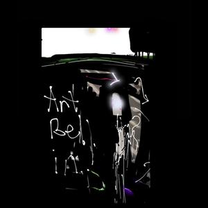 Art bell n d