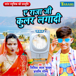 A Rajaji Cooler Lagadi