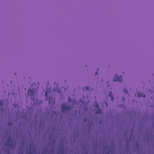 抚慰的在家休息回忆