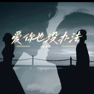 爱你也没办法