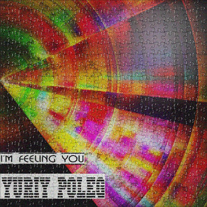 I'm Feeling You (Original Mix)