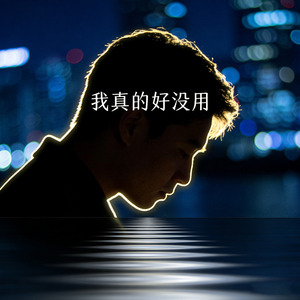我真的好没用