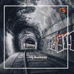 Dj Avici Without You