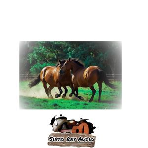 Juro Que Te Gusto, Guayabo Guapo