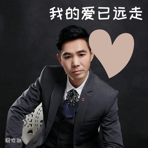 我的爱已远走（舞曲版）