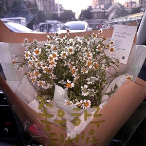 你（原唱林依晨，温柔绿茶版）