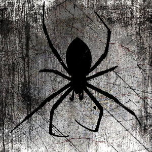 No Laws Without Restrictions