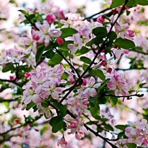 九月（Cover 周云蓬）