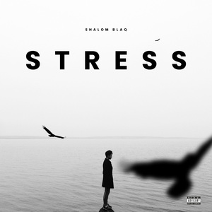Stress