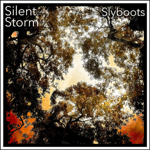 Silent Storm