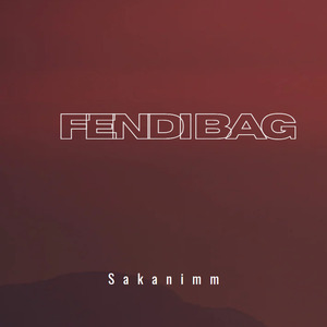 Fendi Bag