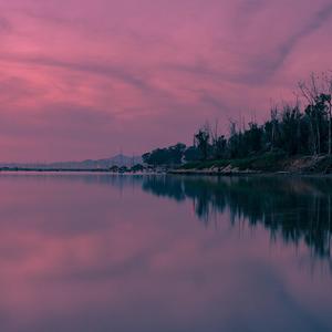 制罐舌辛在线滴定