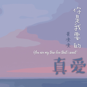 你是我要的真爱 (伴奏)