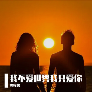 我不爱世界我只爱你