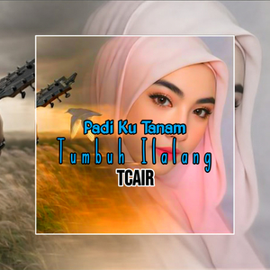 Padi Ku Tanam Tumbuh Ilalang