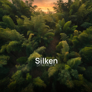 Silken