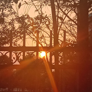 我的油纸伞 伴奏