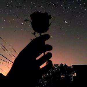 再也没有遇到他 (抖音完整版)