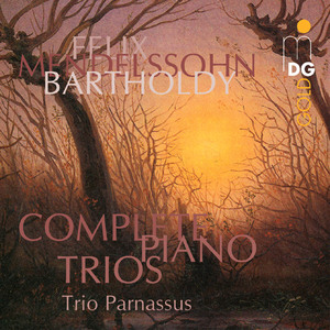 Trio, Op. 49 in D Minor for Piano, Violin and Violoncello: II. Andante con moto tranquillo