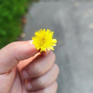 指纹