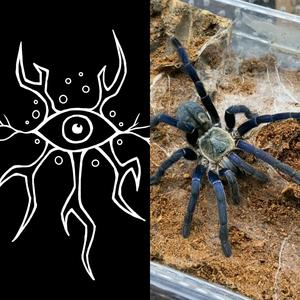 语气猪词标点符号代表&列如逗号都是当添心情感想，放到偏夏方，但又放在介绍上面，这样颠倒好比对称轴对称