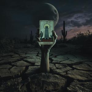 Petrified-Wood Parable