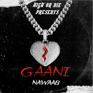 Gaani