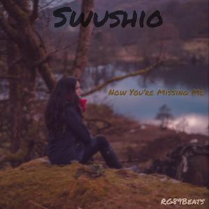 Now You're Missing Me (feat. Swushio)