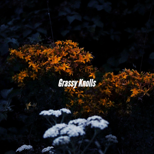 Background for Iced Double Americano