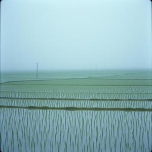 Giữa dòng bão tố đất miền Trung