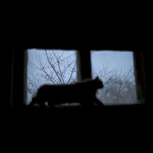 转身即心痛 吉星出租