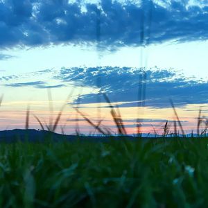 飞过辽阔的天空
