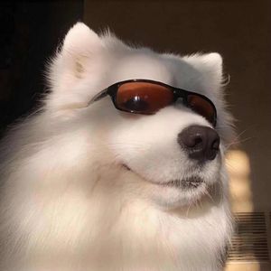 特别的人