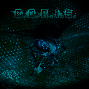 B.O.R.I.S
