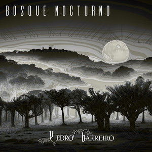Bosque Nocturno