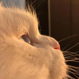 想想就烦