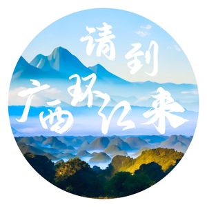 请到广西环江来（DJ版） 伴奏