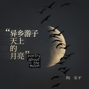 异乡游子天上月亮