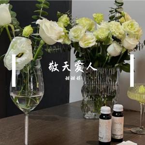 老男孩(女声版)