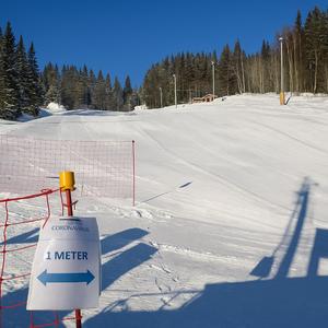 Kongen av slalåm