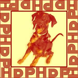 Huesos de Pollo (feat. SailorLin)