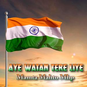 AYE WATAN TERE LIYE ll BANJO COVER MUSIC