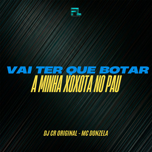 Vai Ter Que Botar Minha Xoxota no Pau