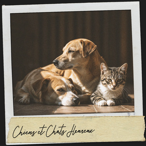 Valse des feux de forêt