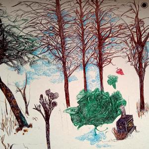 pokojné šumenie lesa