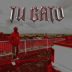 Tu Gato